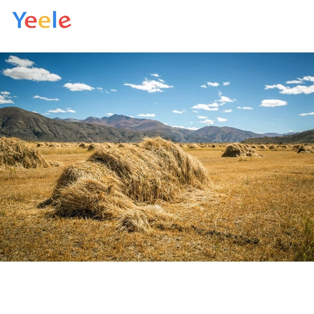 Yeele осенний Фон Сельская ферма сено Урожай горный небо Новорожденный ребенок