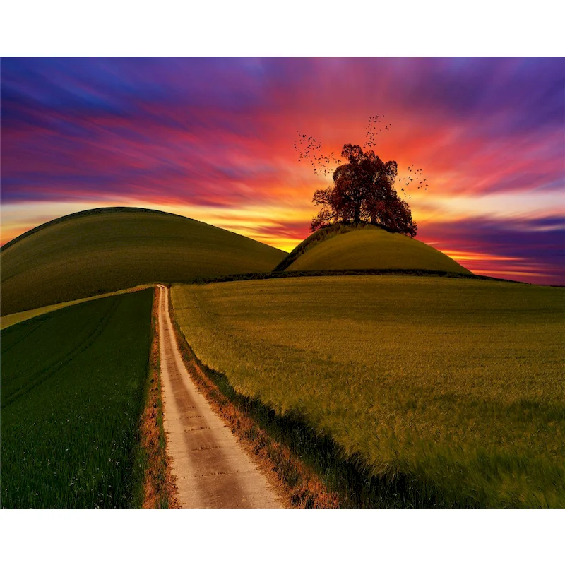Gatyztory Prairie Scenery Painting By Numbers Wall Art Picture Canvas Coloring By Numbers Handpainted For Home Decors Gift
Gatyztory Prairie Scenery Painting By Numbers Wall Art Picture Canvas Coloring By Numbers Handpainted For Home Decors Gift