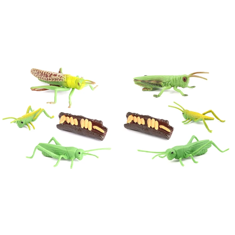 Simulation Locust Animal Life Cycle,Insect Growth Cycle Model Locust Animals Growth Cycle Model Educational Kids Toys
Simulation Locust Animal Life Cycle,Insect Growth Cycle Model Locust Animals Growth Cycle Model Educational Kids Toys