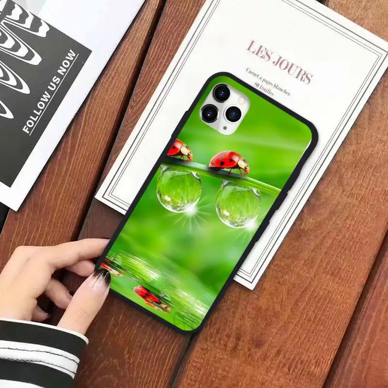 Four leaf ladybug daisy Phone Case for iPhone 11 12 pro XS MAX 8 7 6 6S Plus X 5S SE 2020 XR
Four leaf ladybug daisy Phone Case for iPhone 11 12 pro XS MAX 8 7 6 6S Plus X 5S SE 2020 XR