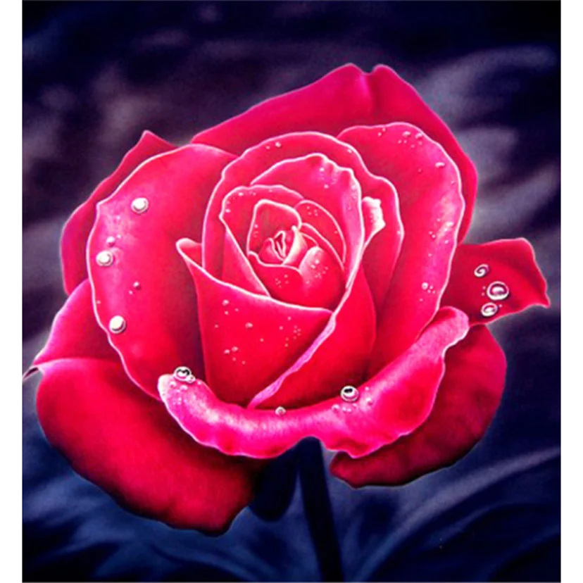 Diamond Painting 5D DIY Square/Round Diamond Flower Painting Red Rose Beauty Picture Cross Stitch Decoration Artwork TX978
Diamond Painting 5D DIY Square/Round Diamond Flower Painting Red Rose Beauty Picture Cross Stitch Decoration Artwork TX978