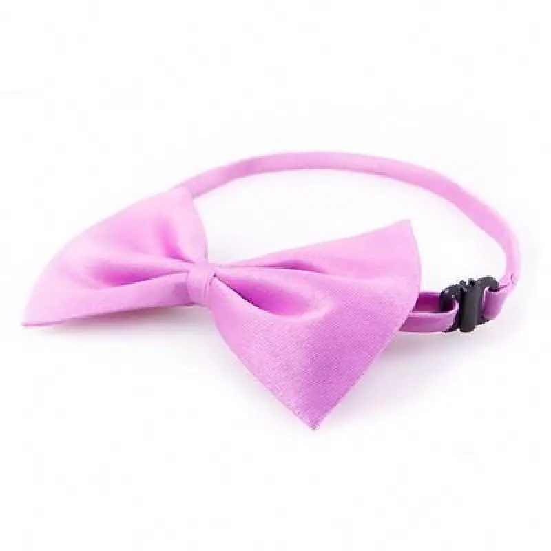 Pet Bow Collar Cat Dogs 5/10/20Pcs Neck Supplies for Chien Puppy Accessories Fashion Small Medium Dog Collars Product Wholesale
Pet Bow Collar Cat Dogs 5/10/20Pcs Neck Supplies for Chien Puppy Accessories Fashion Small Medium Dog Collars Product Wholesale