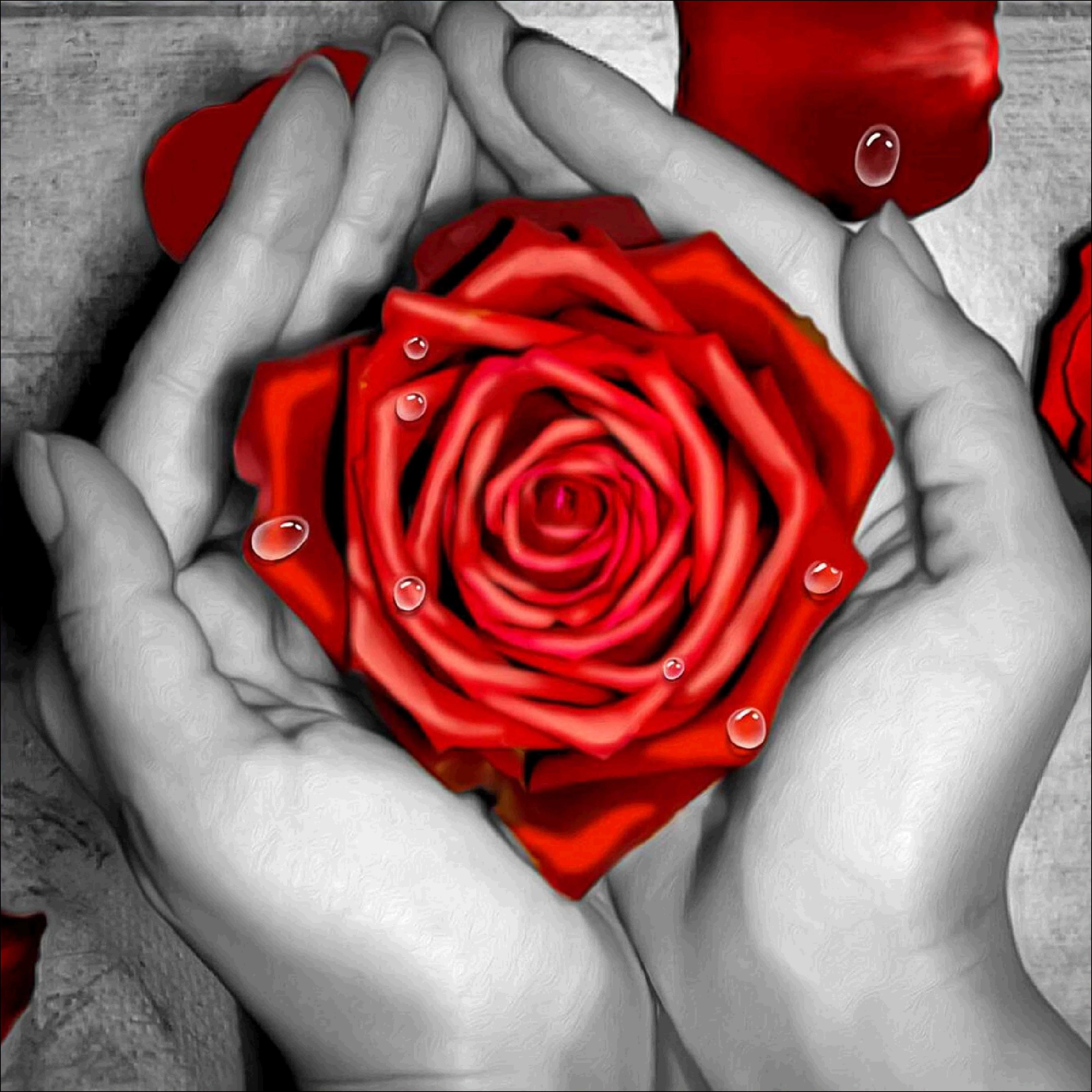 Round full diamond 5d flower diamond painting rose sunflower DIY diamond embroidery kit home decoration ornaments 
Round full diamond 5d flower diamond painting rose sunflower DIY diamond embroidery kit home decoration ornaments