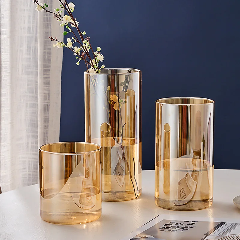 Glass Vase Living Room Dried Flowers Nordic Ins Style Glass Transparent Dill Home Decoration Accessories Flower Vases For Homes
Glass Vase Living Room Dried Flowers Nordic Ins Style Glass Transparent Dill Home Decoration Accessories Flower Vases For Homes