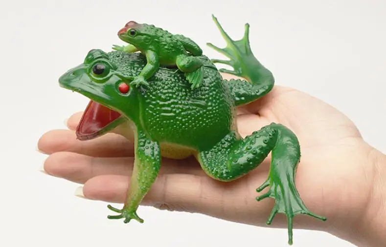 Animal toad Frog soft plastic Will call model Whistling sound Mother frog paddle Gift Garden Decoration
Animal toad Frog soft plastic Will call model Whistling sound Mother frog paddle Gift Garden Decoration