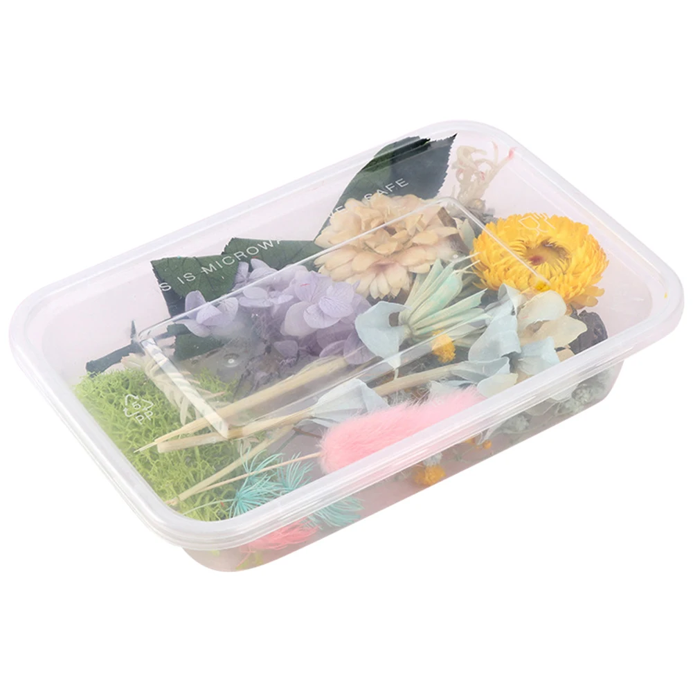 Pressed Flower Mixed Dried Flowers DIY Art Floral Decors Collection Gift Craft DIY Home QP2
Pressed Flower Mixed Dried Flowers DIY Art Floral Decors Collection Gift Craft DIY Home QP2