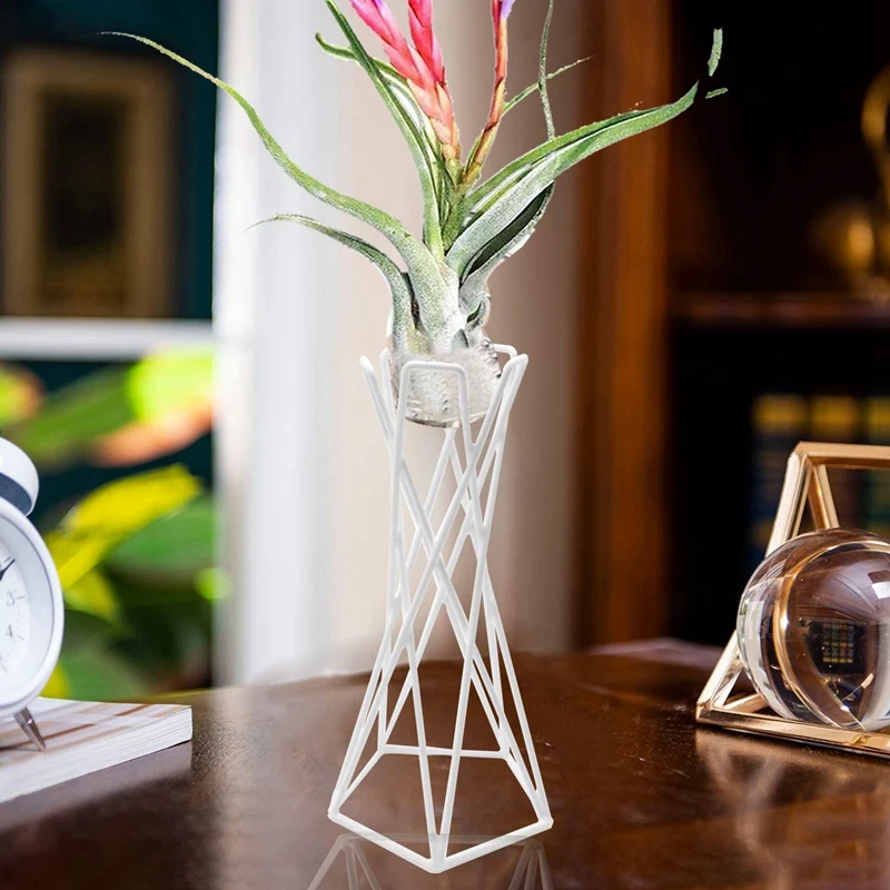 Air Plant Stand Holder Tillandsia,Tabletop Metal Air Plant Display Racks Containers for Hanging Tillandsia House Plants
Air Plant Stand Holder Tillandsia,Tabletop Metal Air Plant Display Racks Containers for Hanging Tillandsia House Plants