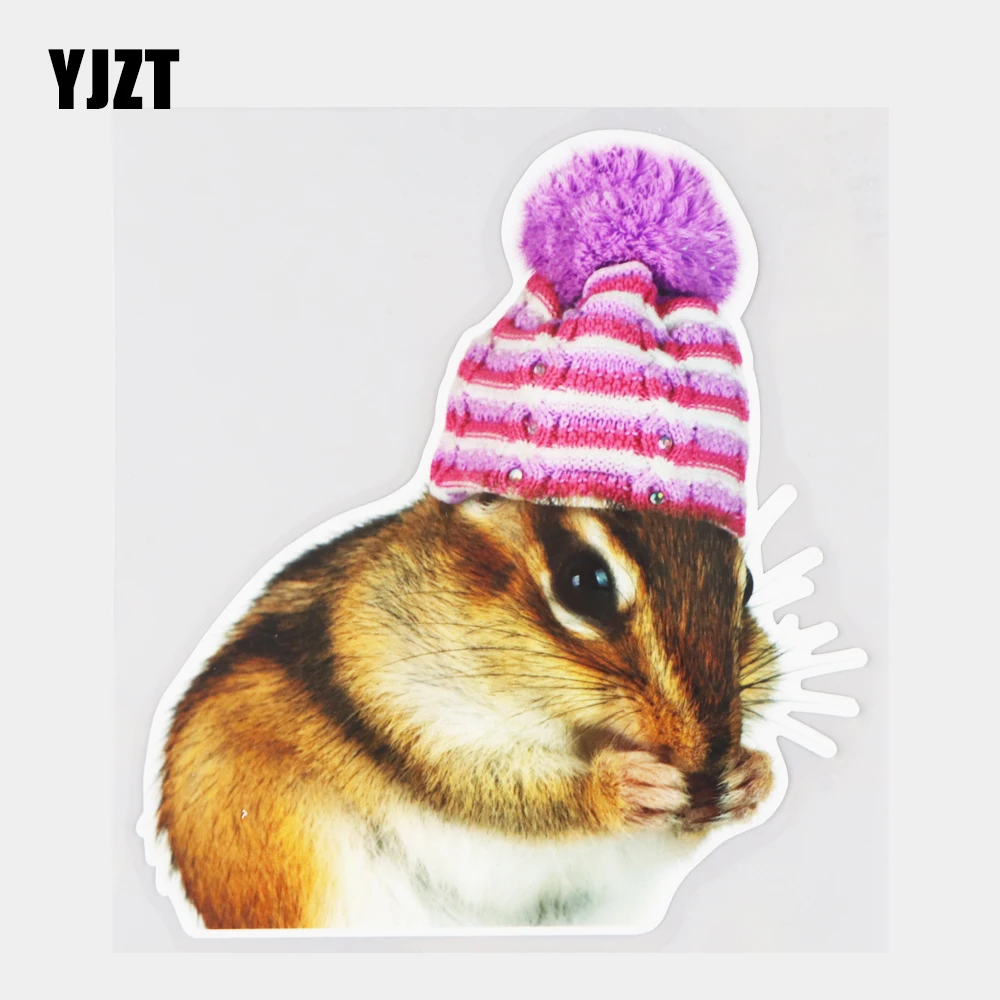 YJZT 15.1×16.5CM Cute Chipmunk Fashion Rear Windshield Bumper Stickers Car Decoration Decals 21A-1143
YJZT 15.1×16.5CM Cute Chipmunk Fashion Rear Windshield Bumper Stickers Car Decoration Decals 21A-1143