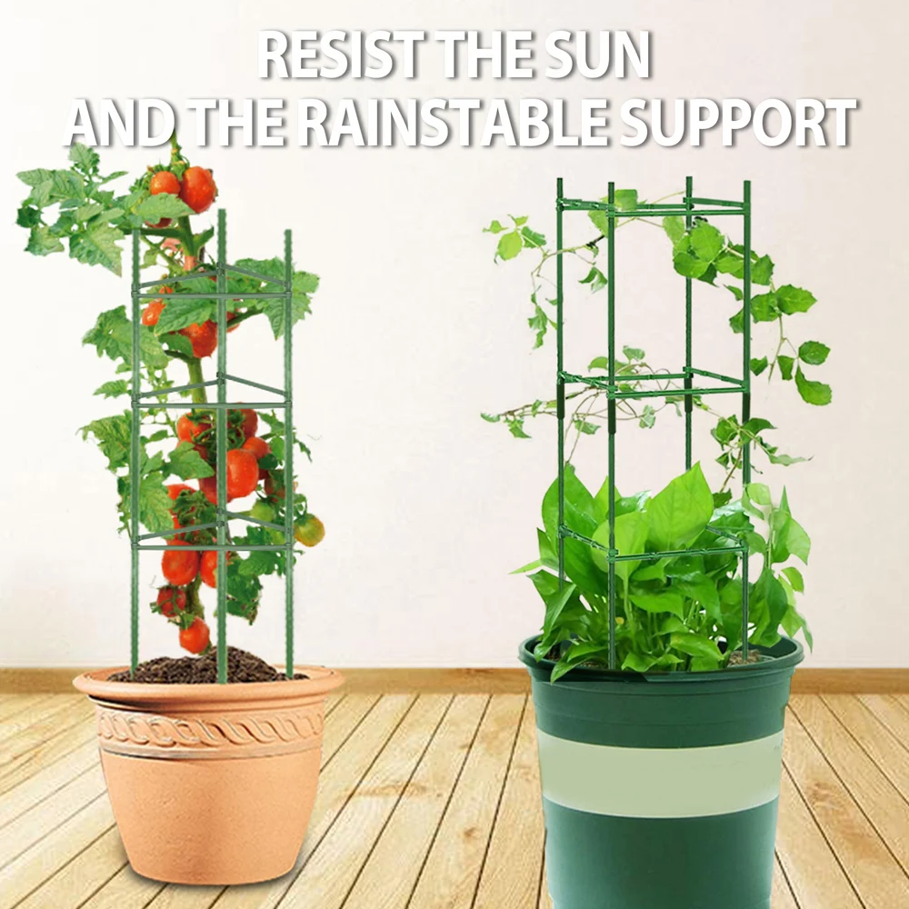 Plant Support Cages Plant Stakes Vegetable Trellis Sturdy Plant Trellis Provides Support for Climbing Plant S55
Plant Support Cages Plant Stakes Vegetable Trellis Sturdy Plant Trellis Provides Support for Climbing Plant S55