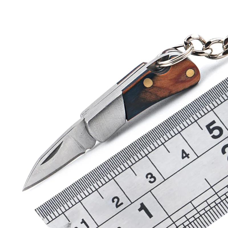 Hysenss Mini Keychain Camping Survival Tactical Folding Knife 420 Steel Blade Colour Wood Handle Peeling Edc Tool Gift Knife
Hysenss Mini Keychain Camping Survival Tactical Folding Knife 420 Steel Blade Colour Wood Handle Peeling Edc Tool Gift Knife