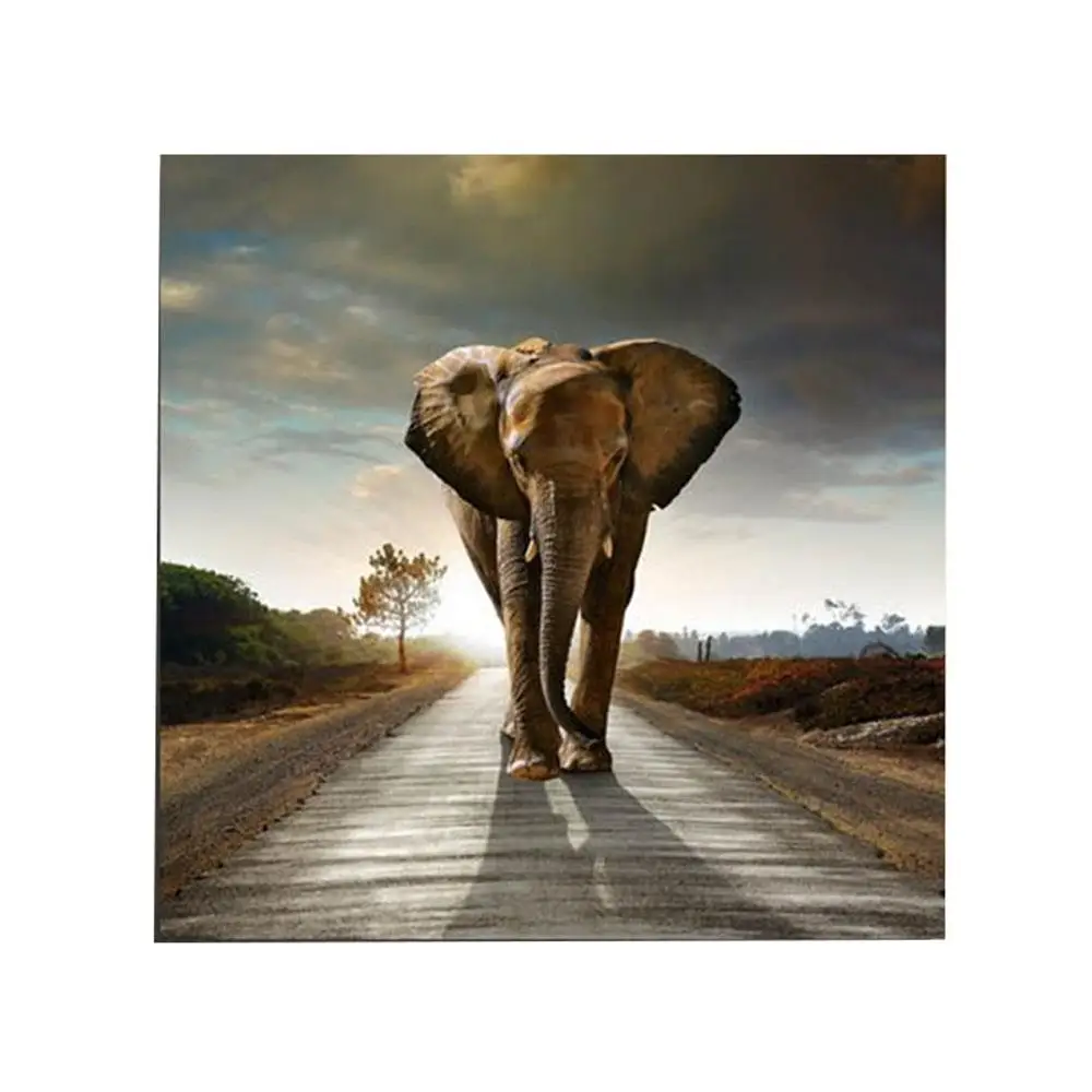 50X50cm Canvas African Elephant Oil Painting poster DIY Wall Sticker Decoration Modern Art Home Simulation Gift Room Office
50X50cm Canvas African Elephant Oil Painting poster DIY Wall Sticker Decoration Modern Art Home Simulation Gift Room Office