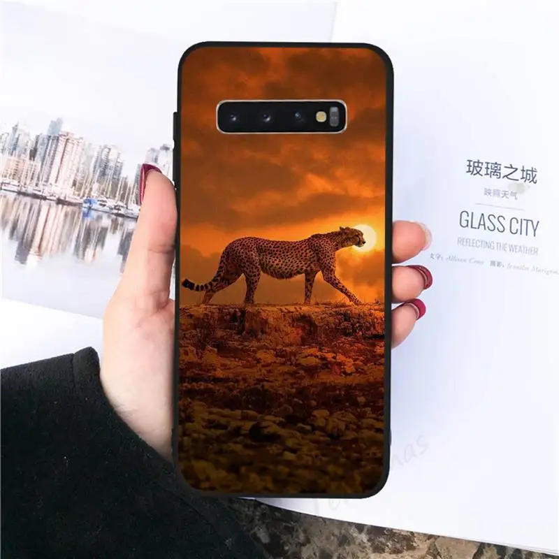 Animal leopard aesthetics high quality Phone Case For Samsung galaxy S 7 8 9 10 20 edge A 6 10 20 30 50 51 70 note 10 plus
Animal leopard aesthetics high quality Phone Case For Samsung galaxy S 7 8 9 10 20 edge A 6 10 20 30 50 51 70 note 10 plus