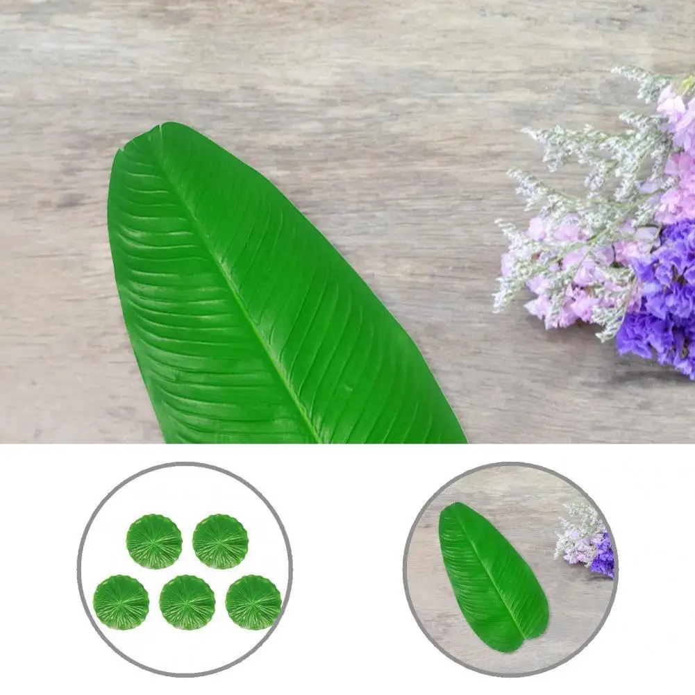 Anti Fade Eco-friendly Exquisite Realistic Canna Lotus Leaves Plant for Floating Pool
Anti Fade Eco-friendly Exquisite Realistic Canna Lotus Leaves Plant for Floating Pool