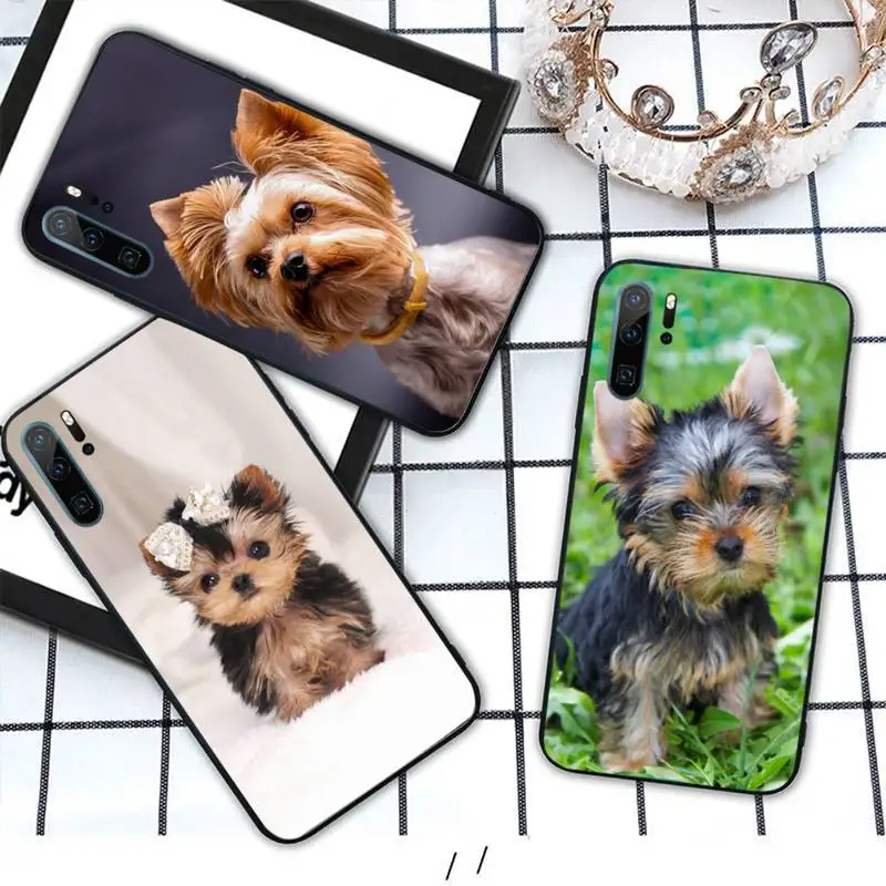 Yorkshire terrier dog cute animal Phone Case For Huawei honor Mate P 10 20 30 40 i 9 8 pro x Lite smart 2019 nova 5t 
Yorkshire terrier dog cute animal Phone Case For Huawei honor Mate P 10 20 30 40 i 9 8 pro x Lite smart 2019 nova 5t