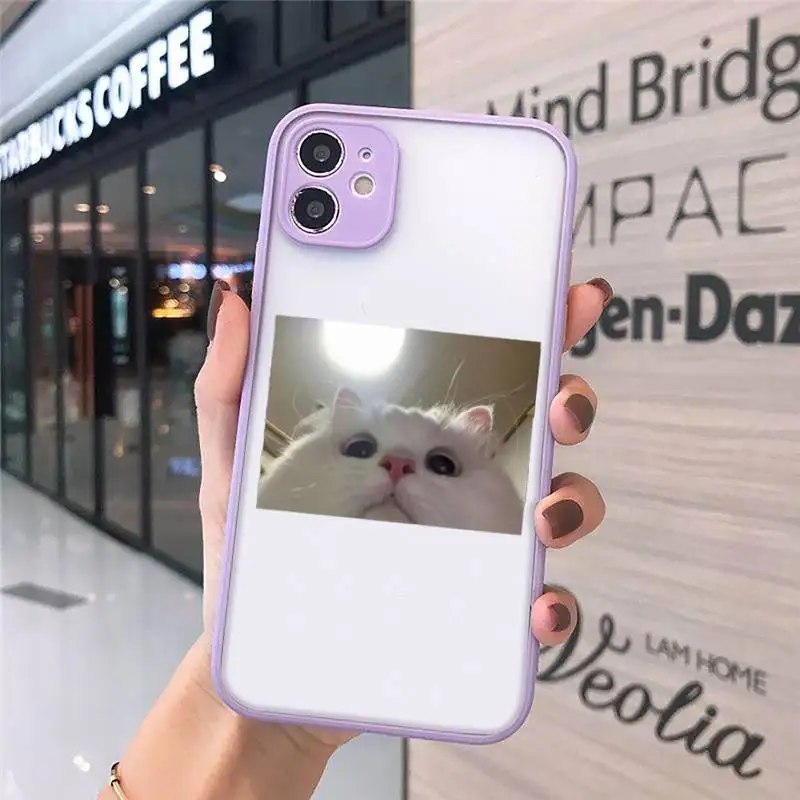 Cute Cats New Year Gifts Phone Cases Matte Transparent For iPhone 12 Mini 11 Pro XR XS Max 7 8 Plus
Cute Cats New Year Gifts Phone Cases Matte Transparent For iPhone 12 Mini 11 Pro XR XS Max 7 8 Plus
