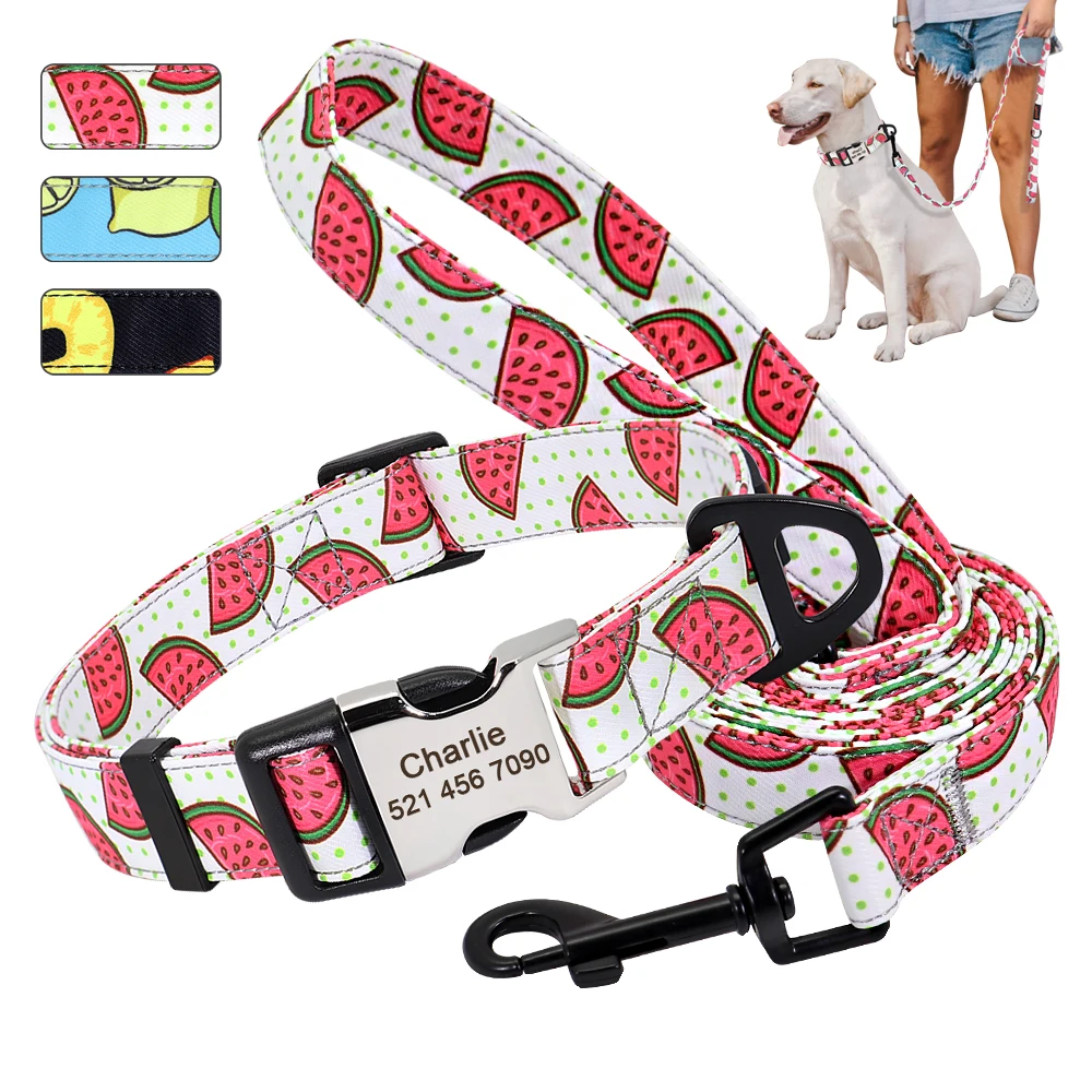

Custom Nylon Dog Collar Leash Set Personalized Puppy Nameplate ID Tag Collars Adjustable Pet Collar Lead Dog Accessories Perros
