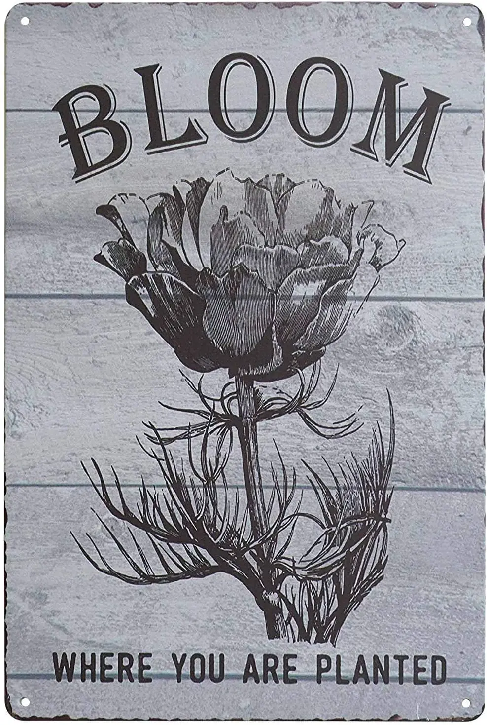 MAIYUAN Floral Bloom Where You are Planted Vintage Metal Tin Signs Home Bar Shop Decorations Coffee Sign Gifts 8" x 12"
MAIYUAN Floral Bloom Where You are Planted Vintage Metal Tin Signs Home Bar Shop Decorations Coffee Sign Gifts 8" x 12"