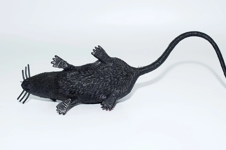 Strange New Simulation Plastic Black Gray Little Mouse Cub Model Prank Horror Scary Toy Halloween Toy
Strange New Simulation Plastic Black Gray Little Mouse Cub Model Prank Horror Scary Toy Halloween Toy