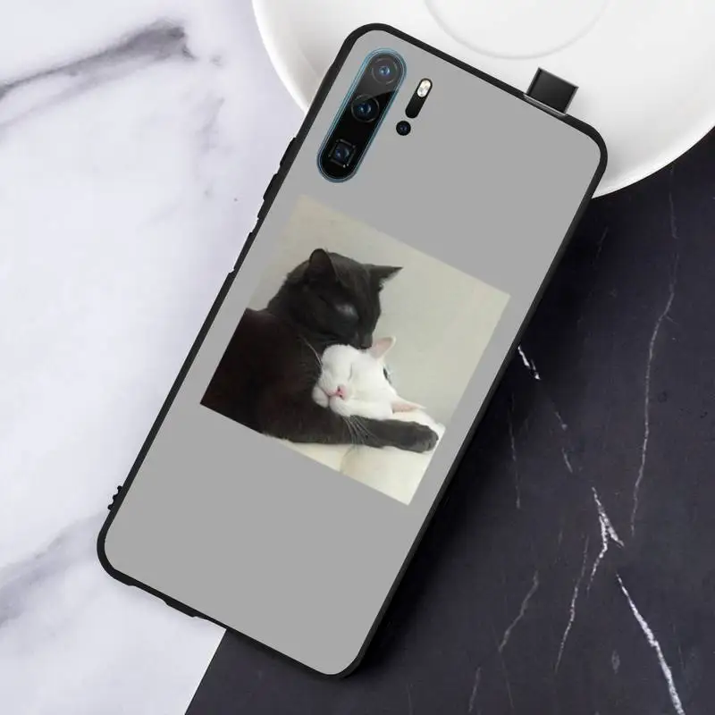 Cute cat puppy pet Phone Case For Huawei honor Mate P 10 20 30 40 Pro 10i 9 10 20 8 x Lite
Cute cat puppy pet Phone Case For Huawei honor Mate P 10 20 30 40 Pro 10i 9 10 20 8 x Lite
