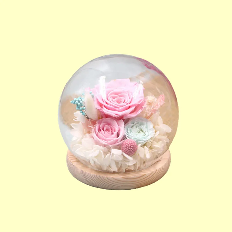 8sets/pack Diameter=10cm Round Shaped Glass Dome Vase Home Deocration Different Log Base Transparent Cover Wedding Prop Gift
8sets/pack Diameter=10cm Round Shaped Glass Dome Vase Home Deocration Different Log Base Transparent Cover Wedding Prop Gift