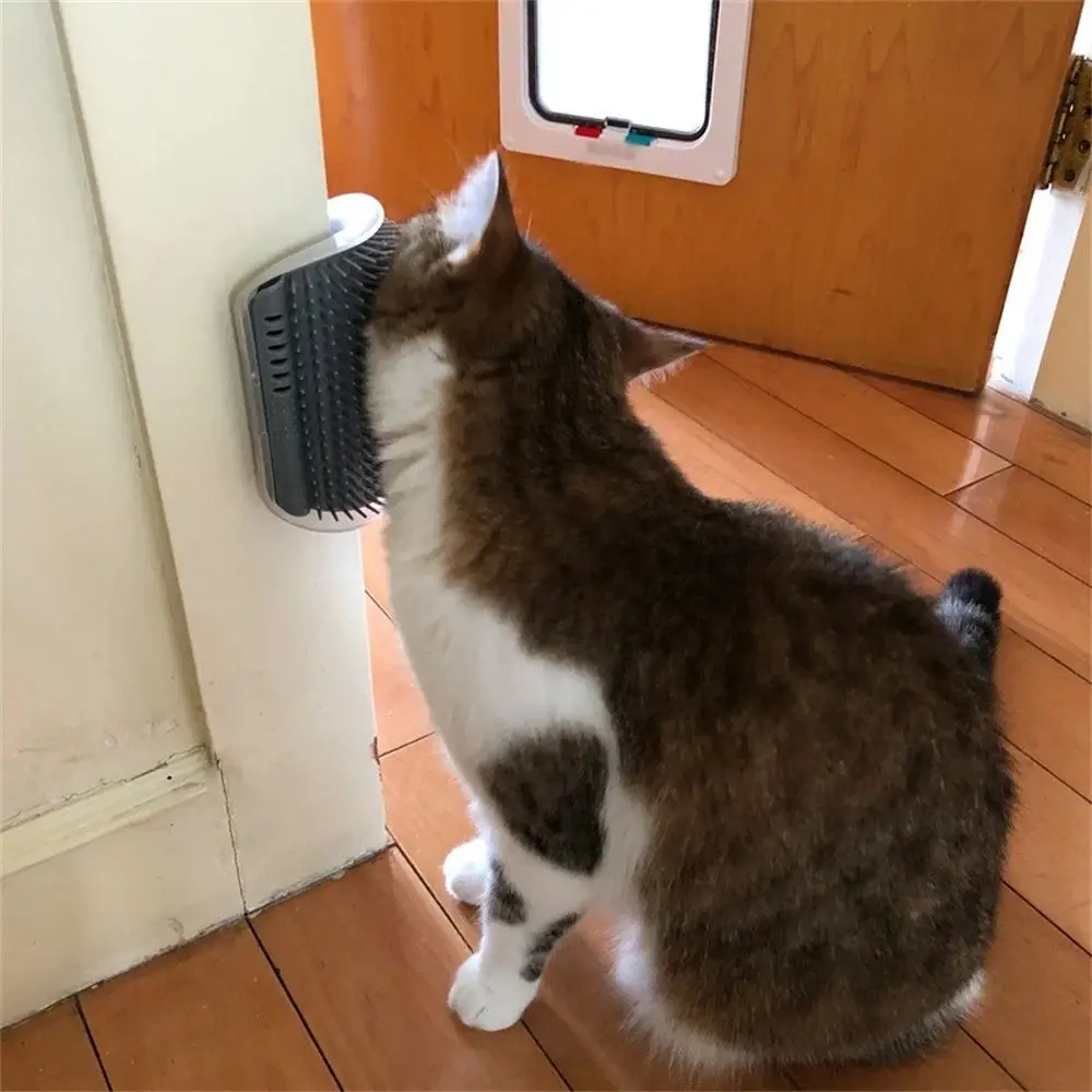 Cat Toy Scratch Bristles Cats Massage Comb Comfortable Grooming Brush Pet Cat toys Wall Corner Grooming Hair Comb
Cat Toy Scratch Bristles Cats Massage Comb Comfortable Grooming Brush Pet Cat toys Wall Corner Grooming Hair Comb