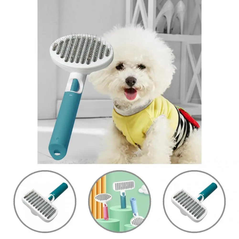 Экологичная щетка для груминга кошек, эргономичный дизайн, многоразовая щетка для массажа тела собаки, щетка для ухода за собакой
Экологичная щетка для груминга кошек, эргономичный дизайн, многоразовая щетка для массажа тела собаки, щетка для ухода за собакой