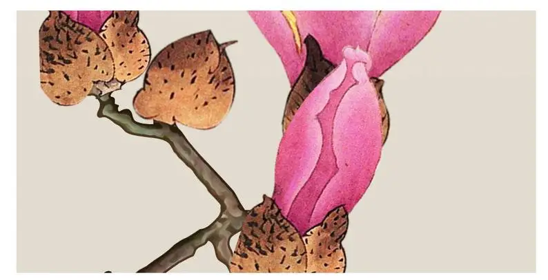 New Chinese Style Print Birds Stone Painting Traditional Chinese Painting Flower Art Chinese Calligraphy Oriental Ink Print
New Chinese Style Print Birds Stone Painting Traditional Chinese Painting Flower Art Chinese Calligraphy Oriental Ink Print