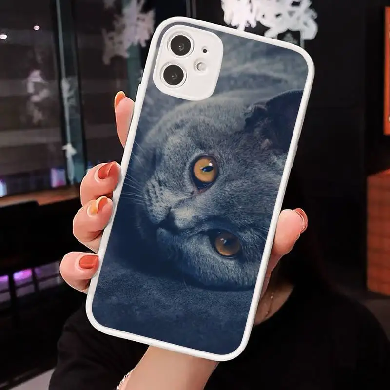 Chartreux cat cute lovely animal Phone Cases Matte Transparent for iPhone 7 8 11 12 s mini pro X XS XR MAX Plus cover funda
Chartreux cat cute lovely animal Phone Cases Matte Transparent for iPhone 7 8 11 12 s mini pro X XS XR MAX Plus cover funda