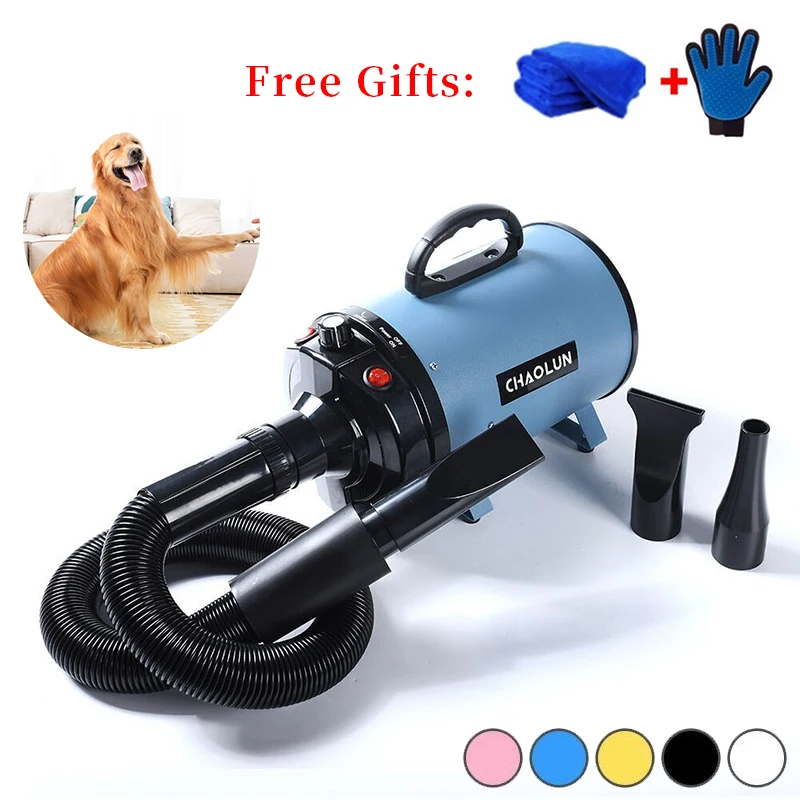 2021 New Dog Dryer Pet Dog Dryer Hair Dryer For Dogs Water Blowing Machine For Large Dogs Thermostatic
2021 New Dog Dryer Pet Dog Dryer Hair Dryer For Dogs Water Blowing Machine For Large Dogs Thermostatic