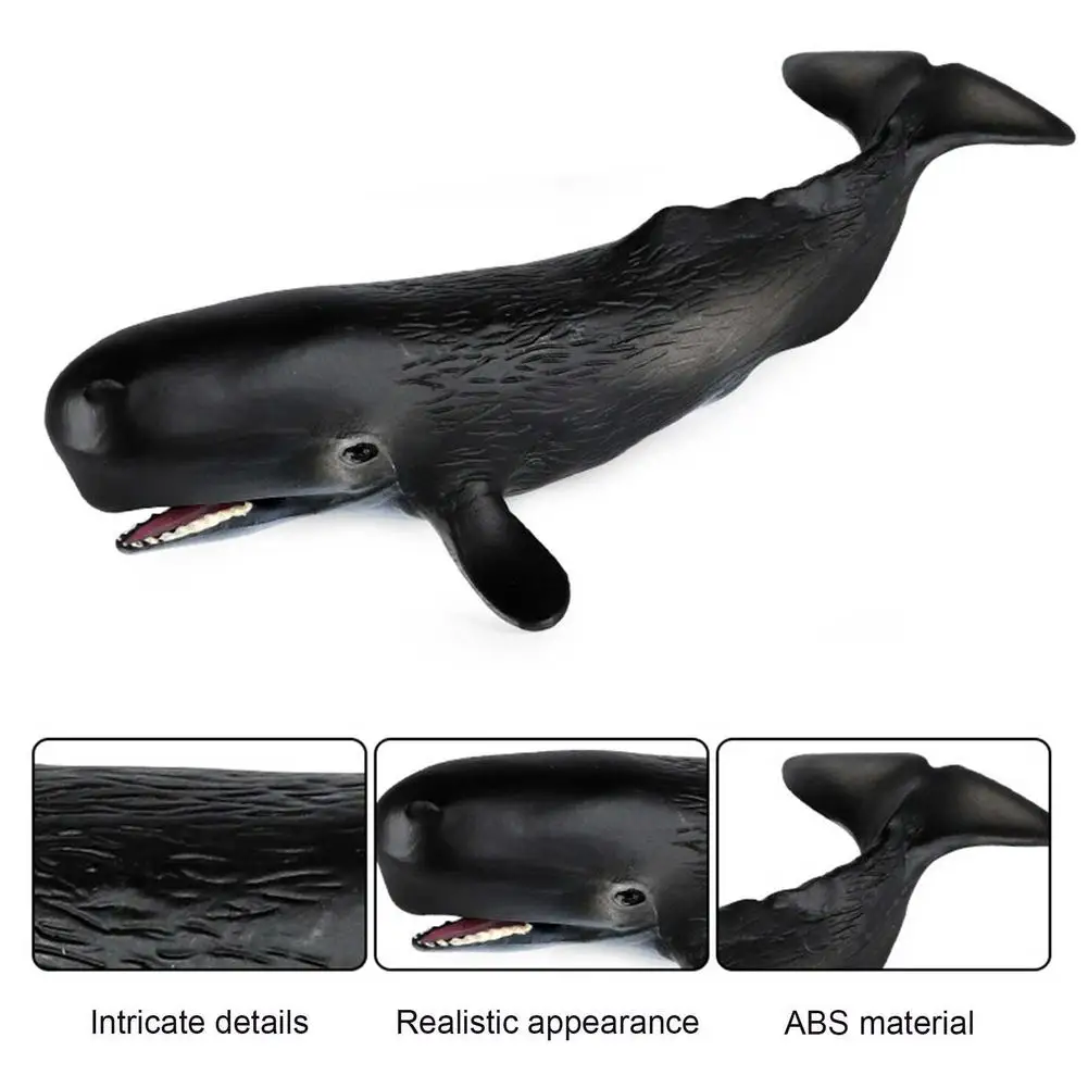 Children's Cognitive Solid Simulation Marine Biological Model Toy Sperm Whale Shark Model Plastic Decoration Kid Toys
Children's Cognitive Solid Simulation Marine Biological Model Toy Sperm Whale Shark Model Plastic Decoration Kid Toys