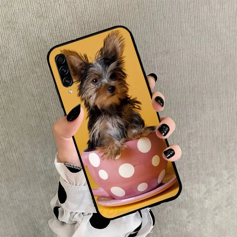 Yorkshire Terrier dog cute animal Phone Case For Samsung Galaxy A 3 6 7 8 10 20 30 40 50 70 71 10S 20S 30S 50S PLUS
Yorkshire Terrier dog cute animal Phone Case For Samsung Galaxy A 3 6 7 8 10 20 30 40 50 70 71 10S 20S 30S 50S PLUS