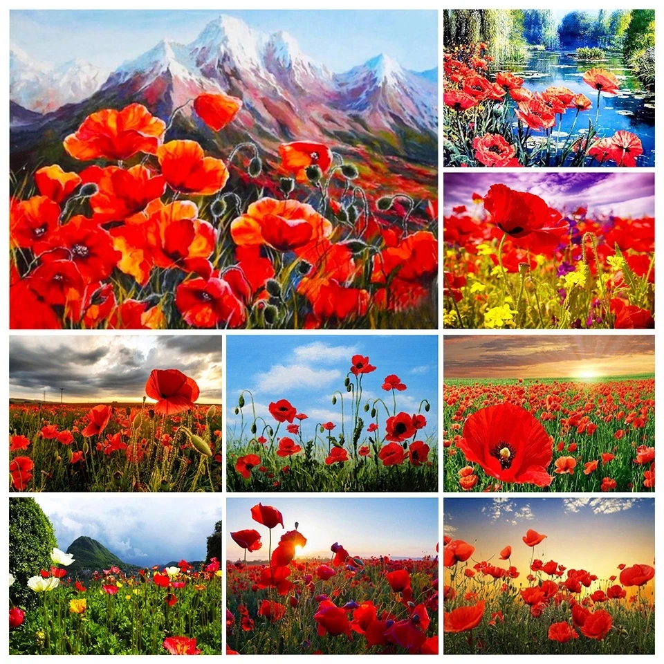 5D DIY Diamond Flower Poppy Flower Square/Round Diamond Cross Stitch Set Diamond Mosaic Art Picture Wall Painting Home Decoratio
5D DIY Diamond Flower Poppy Flower Square/Round Diamond Cross Stitch Set Diamond Mosaic Art Picture Wall Painting Home Decoratio