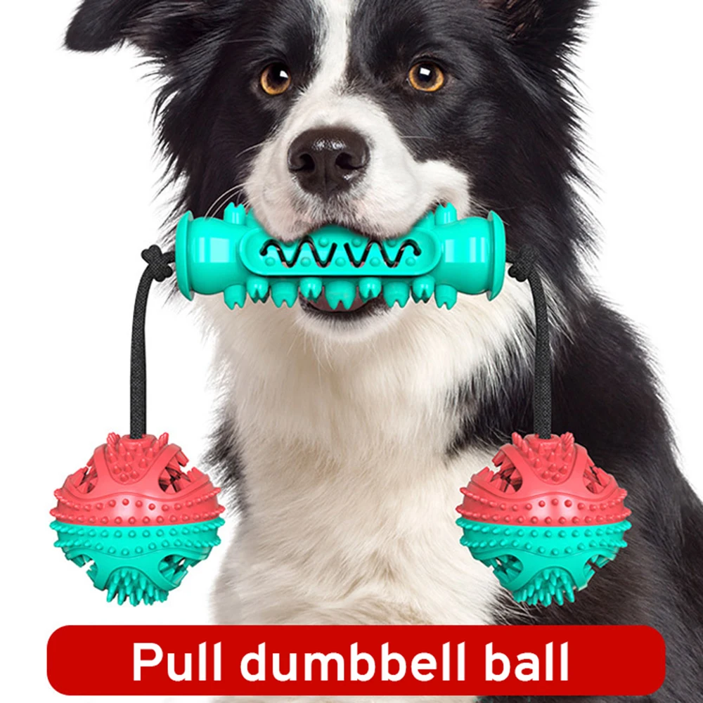 Dog Molar Toothbrush Toys Drawstring Training Ball Chew Cleaning Teeth Elasticity Soft Puppy Dental Care Pet Dogs Clean Supplies
Dog Molar Toothbrush Toys Drawstring Training Ball Chew Cleaning Teeth Elasticity Soft Puppy Dental Care Pet Dogs Clean Supplies