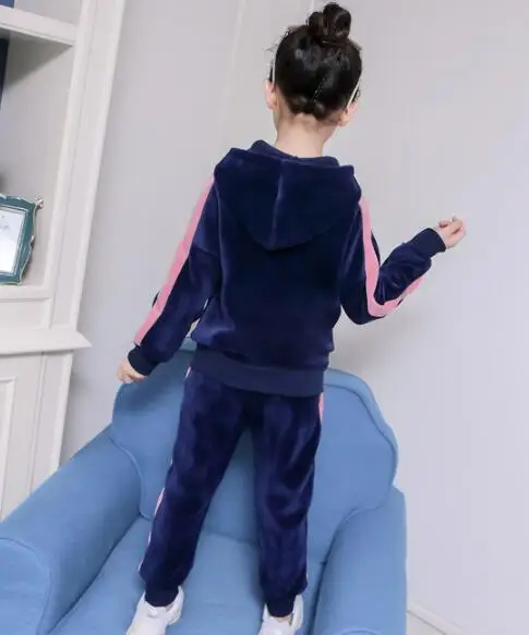 Girls Clothing Suit Children Autumn Tracksuit 2020 New Hooded Long Sleeved Sweatshirt and Pant Sport Kid Clothes Two pieces Sets
Girls Clothing Suit Children Autumn Tracksuit 2020 New Hooded Long Sleeved Sweatshirt and Pant Sport Kid Clothes Two pieces Sets