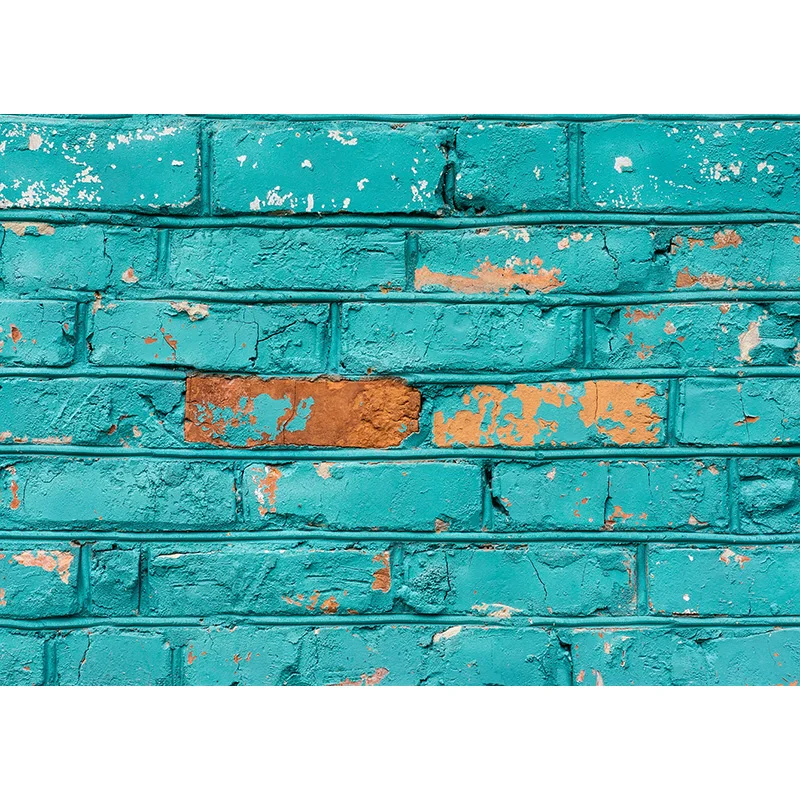 ZHISUXI Vinyl Custom Photography Backdrops Brick Wall Theme Photo Studio Background 20026KM-02
ZHISUXI Vinyl Custom Photography Backdrops Brick Wall Theme Photo Studio Background 20026KM-02