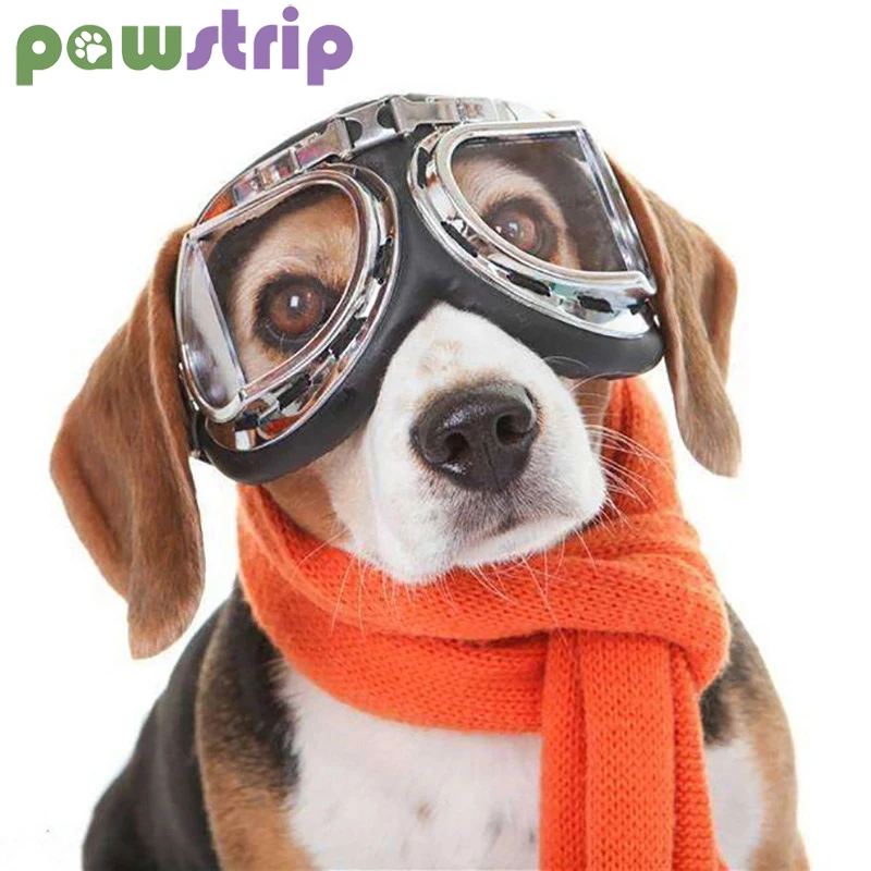 Pet Cat Dog Sunglasses Foldable Pet Sun Protection Windproof Goggles Medium Large Dog Waterproof Polarized Glasses Dog Supplies
Pet Cat Dog Sunglasses Foldable Pet Sun Protection Windproof Goggles Medium Large Dog Waterproof Polarized Glasses Dog Supplies