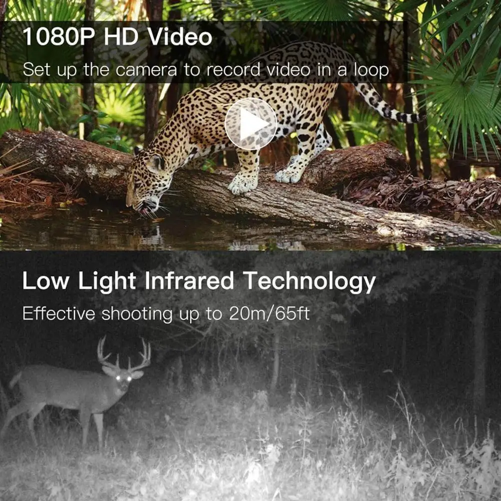 Наружная охотничья камера HD 1080P с ночным видением и датчиком нагрева, Спусковая камера для слежения за животными дикой охоты N3W7
Наружная охотничья камера HD 1080P с ночным видением и датчиком нагрева, Спусковая камера для слежения за животными дикой охоты N3W7
