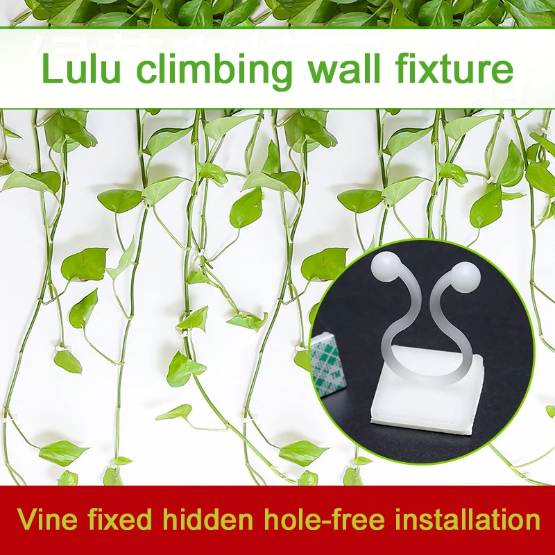 20Pcs Invisible Wall Rattan Clamp Clip Plant Climbing Support Wall Fixer Wall Vine Climbing Sticky Hook Rattan Fixed Clip
20Pcs Invisible Wall Rattan Clamp Clip Plant Climbing Support Wall Fixer Wall Vine Climbing Sticky Hook Rattan Fixed Clip