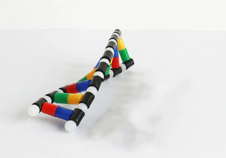 DNA Double Helix Structure Model Education Equipment Human Genetic Model Diy Biological Science Experiment Science Teaching AIDS
DNA Double Helix Structure Model Education Equipment Human Genetic Model Diy Biological Science Experiment Science Teaching AIDS