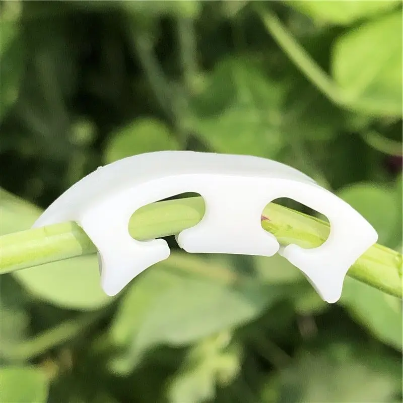30PCS Bending-Proof Vine Supporting Tomato Vegetable Cucumber Fixing Clip Garden Tool For Plants
30PCS Bending-Proof Vine Supporting Tomato Vegetable Cucumber Fixing Clip Garden Tool For Plants