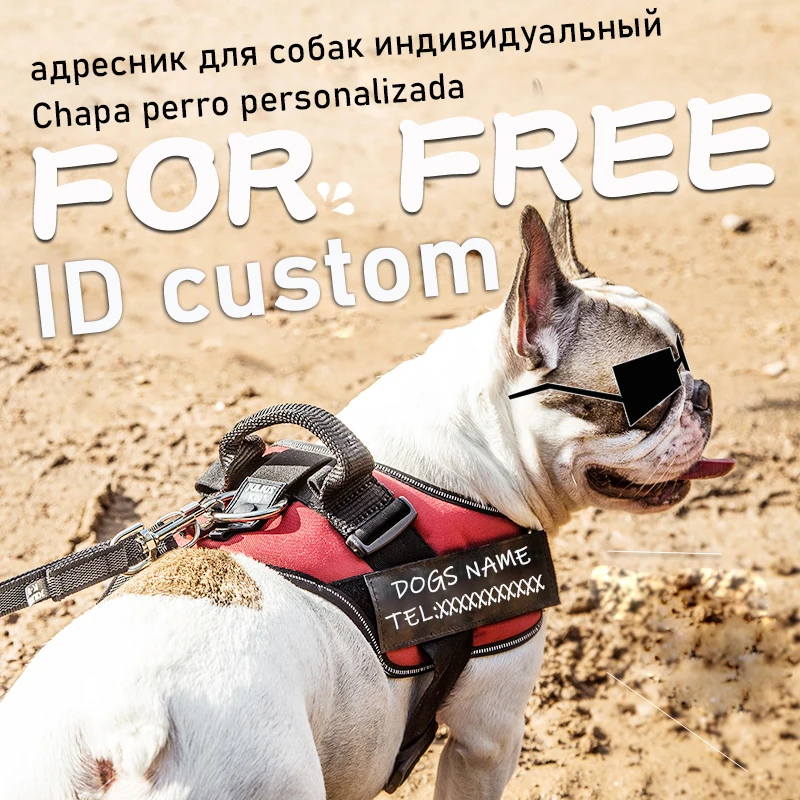 Personalized Dog Harness No Pull Reflective Breathable Harness Vest With Name Address Tag ID Custom Patch For Small Big Dogs
Personalized Dog Harness No Pull Reflective Breathable Harness Vest With Name Address Tag ID Custom Patch For Small Big Dogs