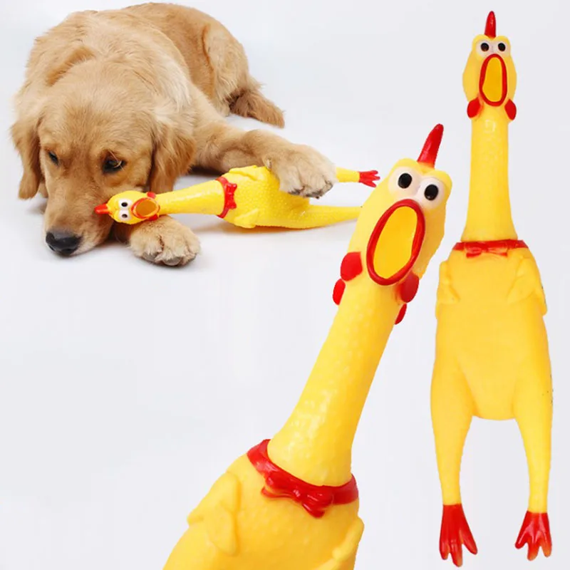 17cm 31cm 40cm Screaming Chicken Dog Toys Squeeze Sound Pet Cat Toy Dogs Toys for Large Dogs Pet Toy Supplies Small Dogs
17cm 31cm 40cm Screaming Chicken Dog Toys Squeeze Sound Pet Cat Toy Dogs Toys for Large Dogs Pet Toy Supplies Small Dogs