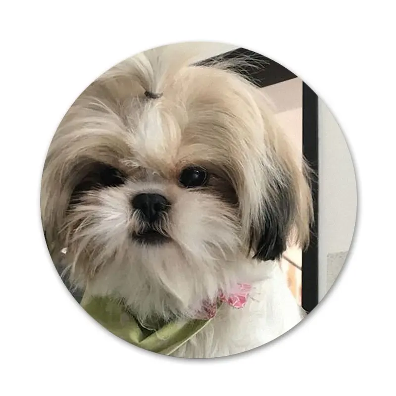 Pishih Tzu Shitzu Dog Puppy Puppies Icons Pins Badge Decoration Brooches Metal Badges For Backpack Decoration
Pishih Tzu Shitzu Dog Puppy Puppies Icons Pins Badge Decoration Brooches Metal Badges For Backpack Decoration