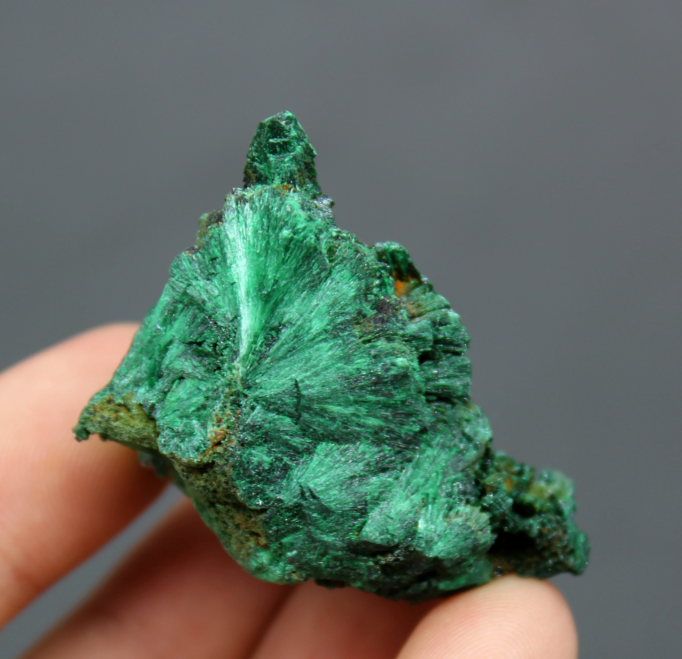 39g Natural beautiful Radial shape malachite mineral specimen crystal Stones and crystals Healing crystal Free shipping
39g Natural beautiful Radial shape malachite mineral specimen crystal Stones and crystals Healing crystal Free shipping