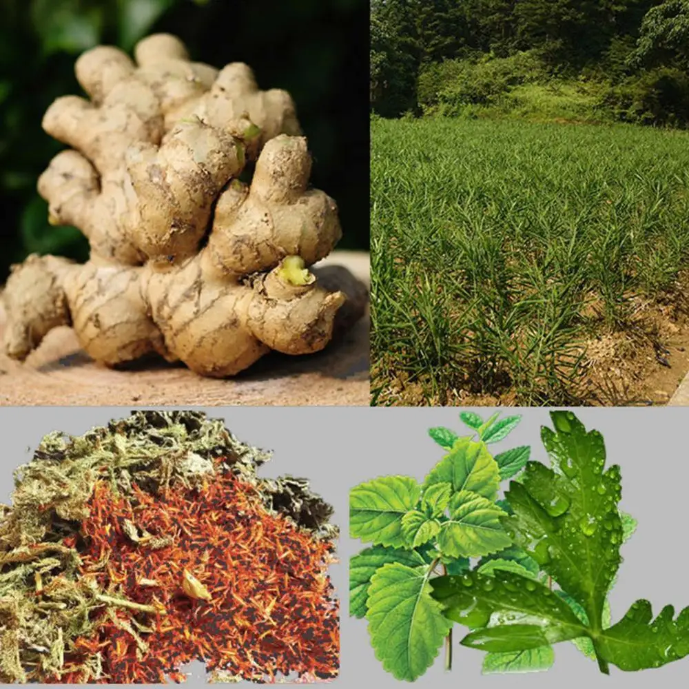 10 Pcs Ginger Paste Dispelling Cold Knee Cervical Vertebra Joint Navel Warm Palace Fever Ginger Paste Moxibustion Paste Baby
10 Pcs Ginger Paste Dispelling Cold Knee Cervical Vertebra Joint Navel Warm Palace Fever Ginger Paste Moxibustion Paste Baby