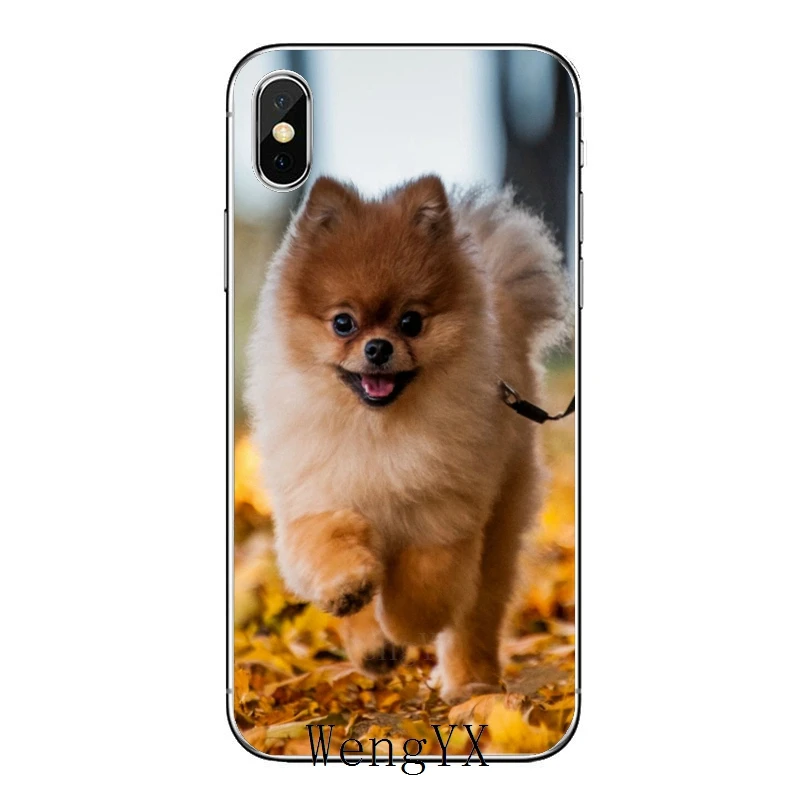 Pomeranian dogs Silicone Phone Case For Xiaomi Redmi S2 7 7A K20 6 6A 5A 4A 4X 5 Plus Note 8 4 Pro | Мобильные телефоны и