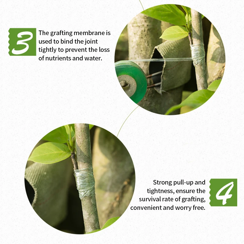 Grafting Tape 2cmx100m Self-Adhesive Fruit Tree Seedling Nursery Stretchable Grafting Clear Floristry Film Plants Repair Tapes
Grafting Tape 2cmx100m Self-Adhesive Fruit Tree Seedling Nursery Stretchable Grafting Clear Floristry Film Plants Repair Tapes