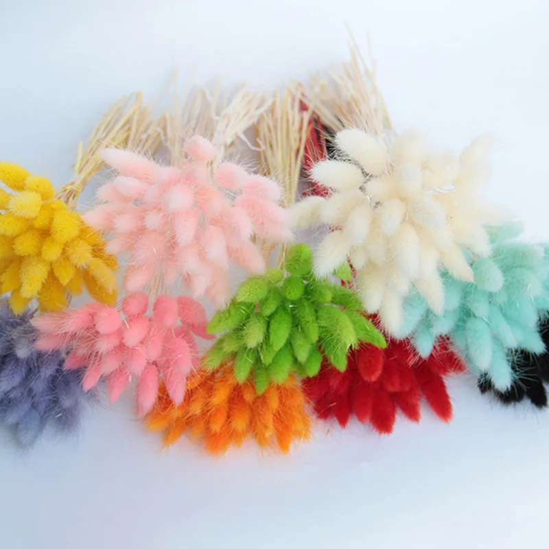 20/40/60PCS Rabbit Tail Grass Dried Flowers Natural Lagurus Ovatus Pampas Grass Home Decoration Bouquet For Wedding Decor Gift
20/40/60PCS Rabbit Tail Grass Dried Flowers Natural Lagurus Ovatus Pampas Grass Home Decoration Bouquet For Wedding Decor Gift