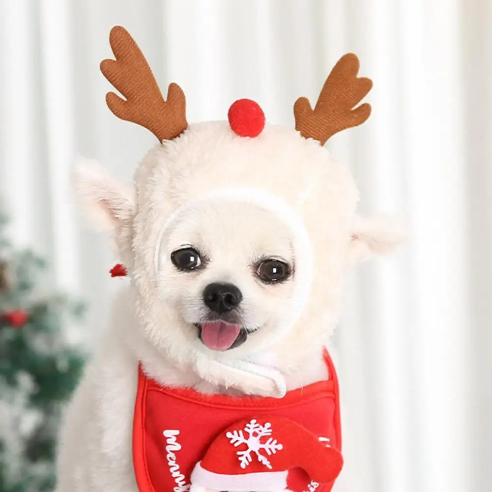 Милая шапочка для щенка, белая фотосессия, креативное сохранение тепла, головной убор для домашних животных и кошек 
Милая шапочка для щенка, белая фотосессия, креативное сохранение тепла, головной убор для домашних животных и кошек