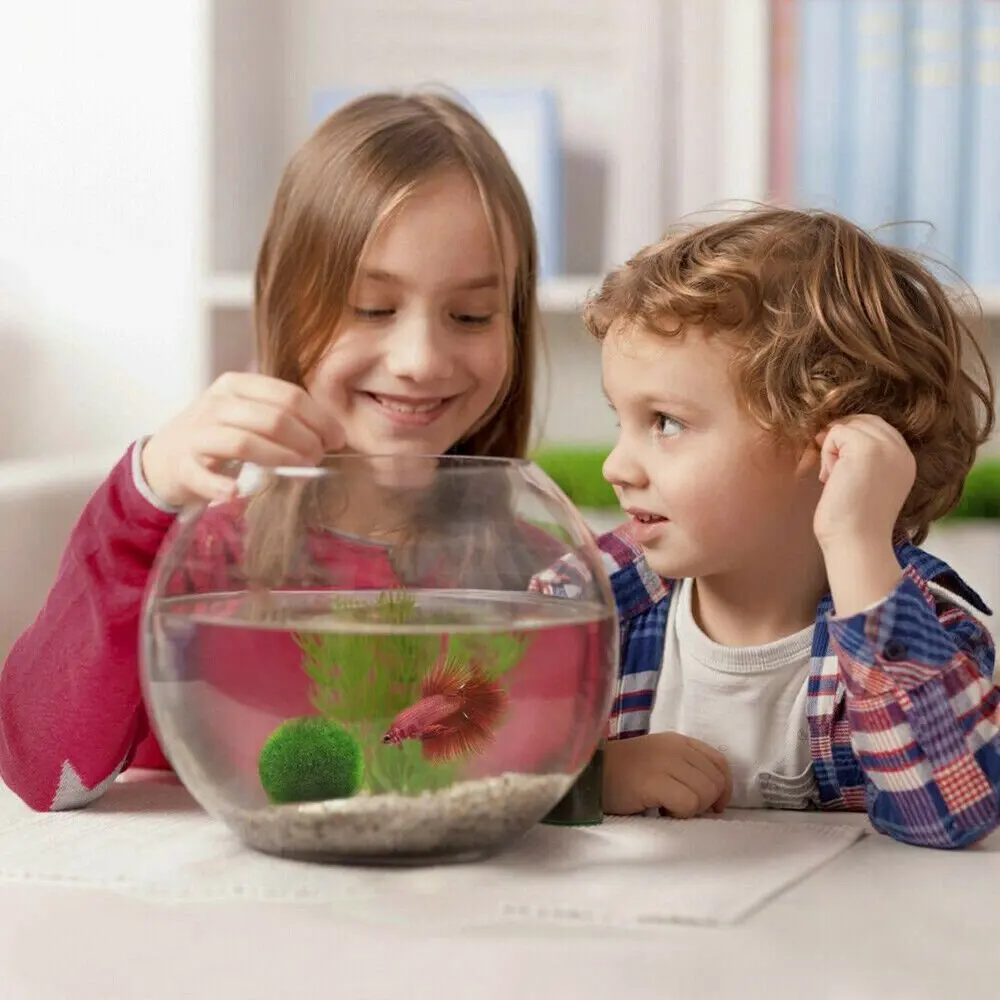 Fish Tank Green Moss Balls Decorative Aquarium Artificial Moss Rocks Faux Moss Covered Stones Toy for Betta Fish Plants Ornament
Fish Tank Green Moss Balls Decorative Aquarium Artificial Moss Rocks Faux Moss Covered Stones Toy for Betta Fish Plants Ornament